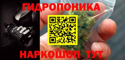прущие крисы Краснознаменск