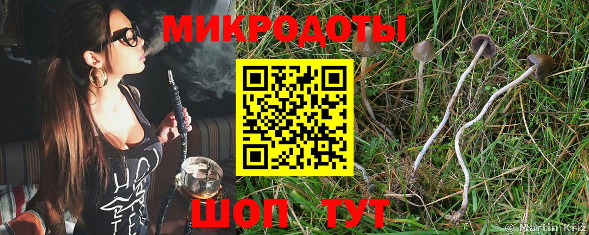 даркнет сайт  Вход с VPN  Южноуральск  Псилоцибиновые грибы ЛСД 